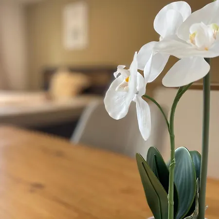 1-zimmerwohnung Mit Balkon