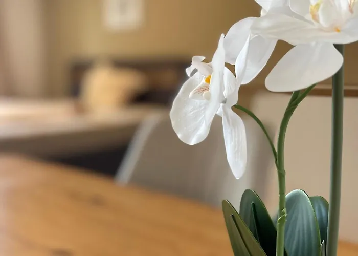 1-zimmerwohnung Mit Balkon